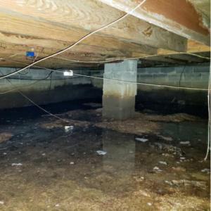 Selling a House with Crawl Space Water Issues in Louisville