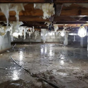 Selling a Property with Water in the Crawl Space in Louisville