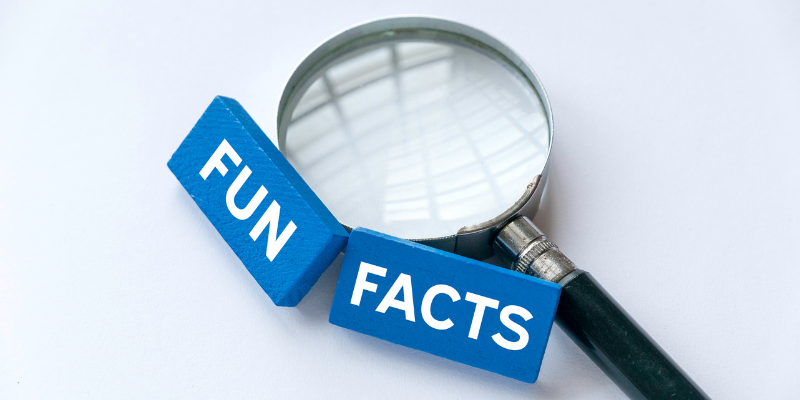 Cool Facts [market_city]
