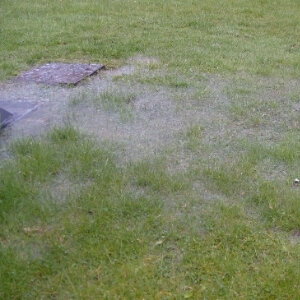 How To Sell House With Septic Tank Problems Kentucky