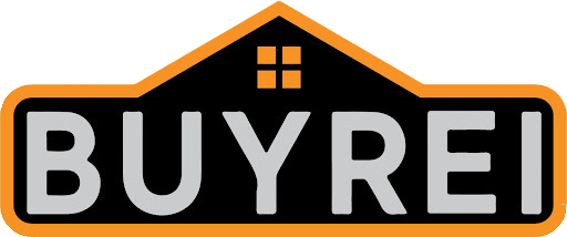 Buyreinow logo