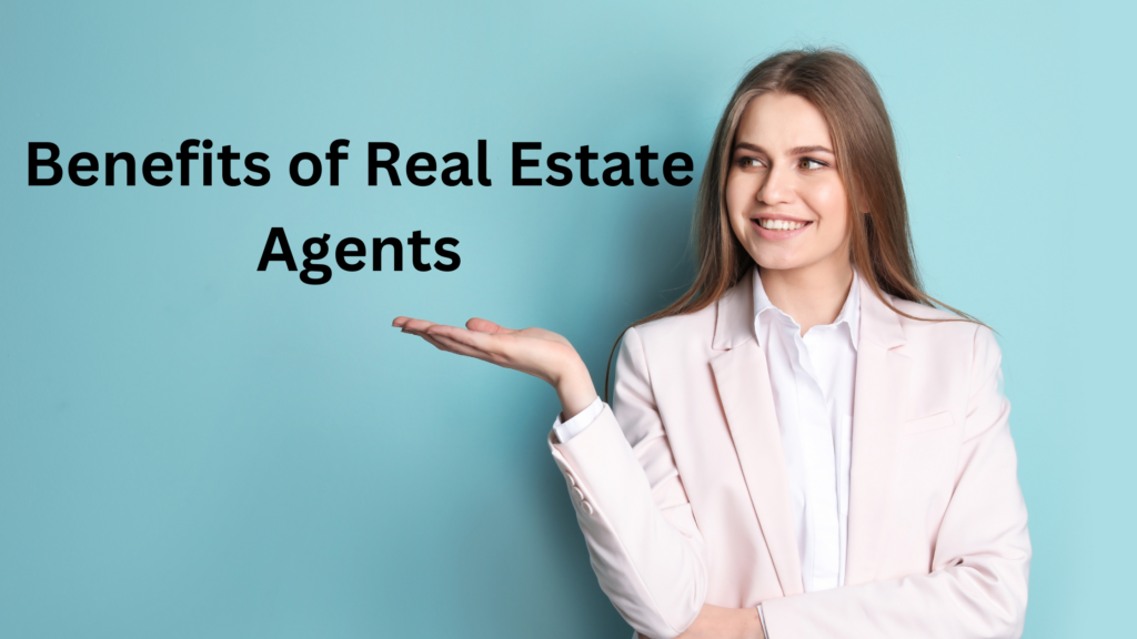 Outline for Article: Benefits of Real Estate Agents for Buyers and Sellers in Port Elizabeth