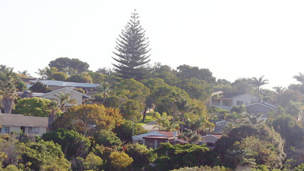 Buyers Attracted to Value-for-Money Homes in Port Elizabeth – 7 Powerful Reasons Why Now Is the Time to Invest