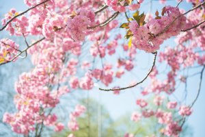 Spring is the best time to sell your Pittsburgh home