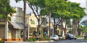 Carpinteria Storefronts