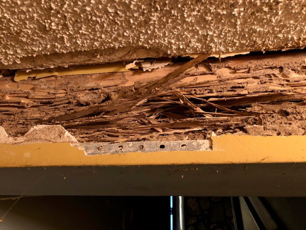 sell my house with termites