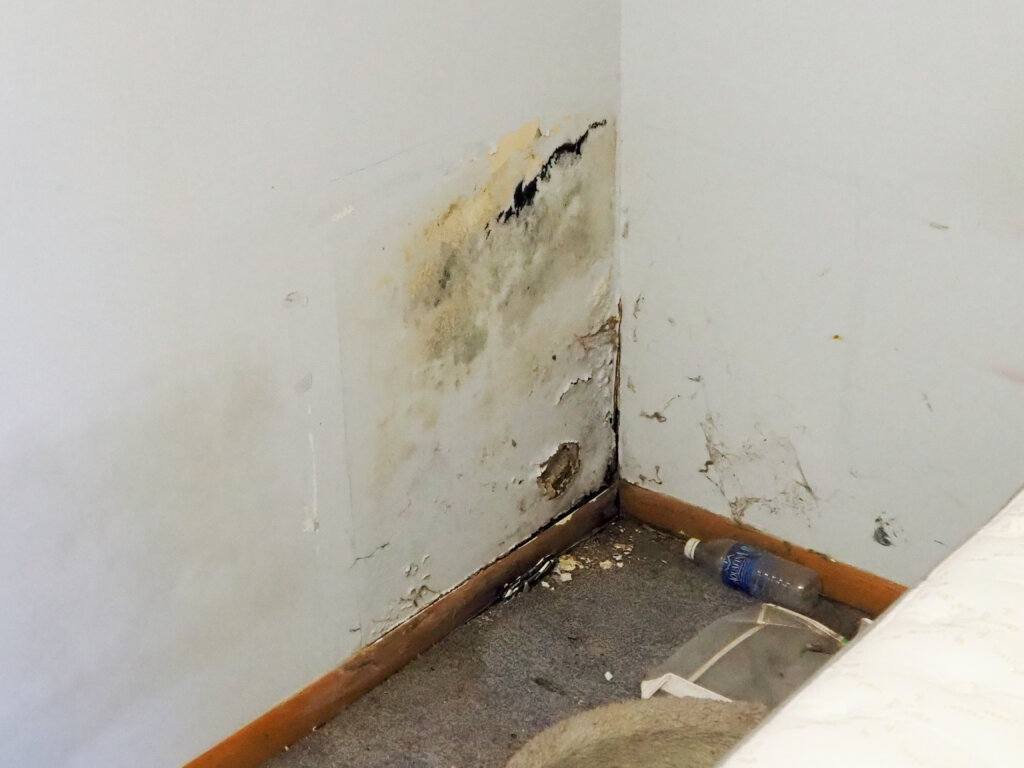 Can You sell a house with mold omaha