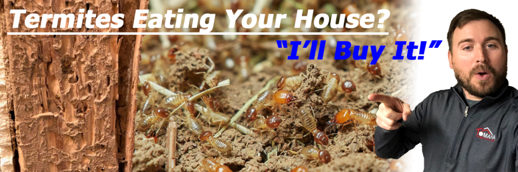 termite damage house omaha