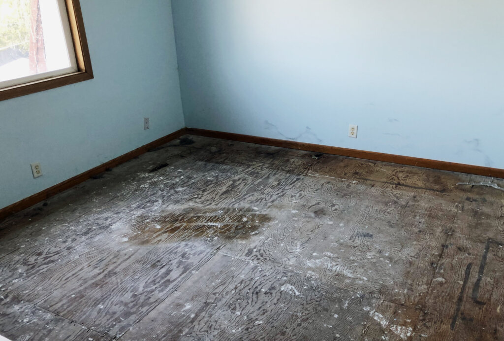 selling a house with cat pee Omaha