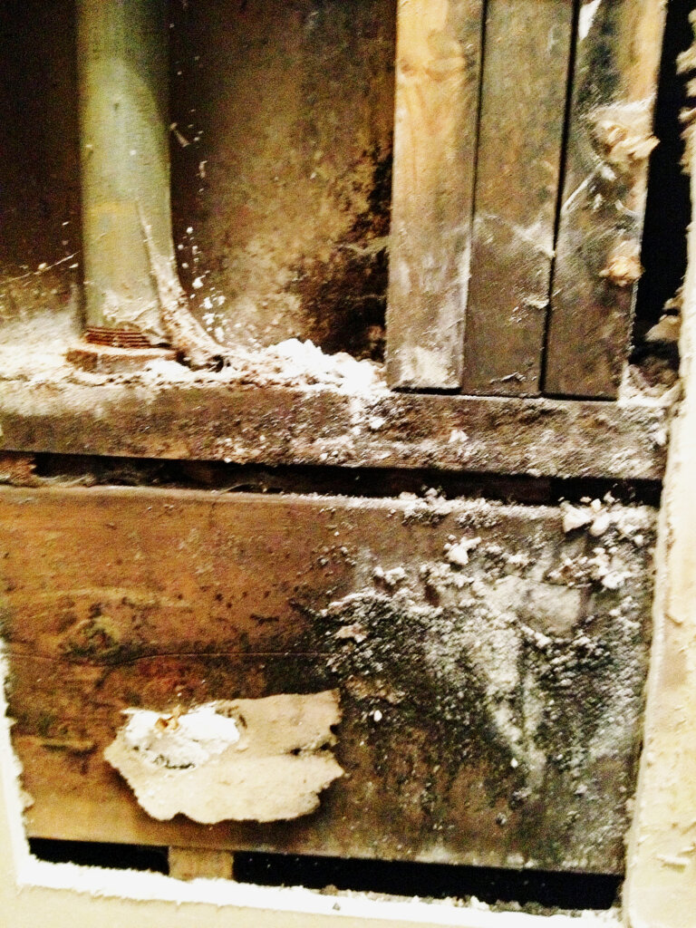 selling a house with mold in omaha nebraska