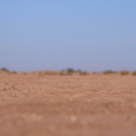 Sell Your Land