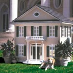House and Dogs