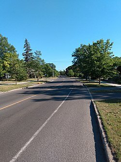jpg