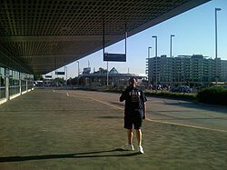 jpg