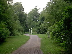 jpg