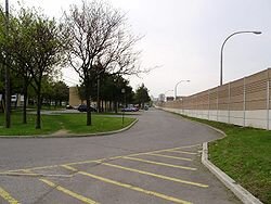 jpg