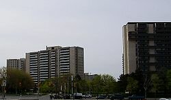 jpg