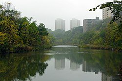 jpg