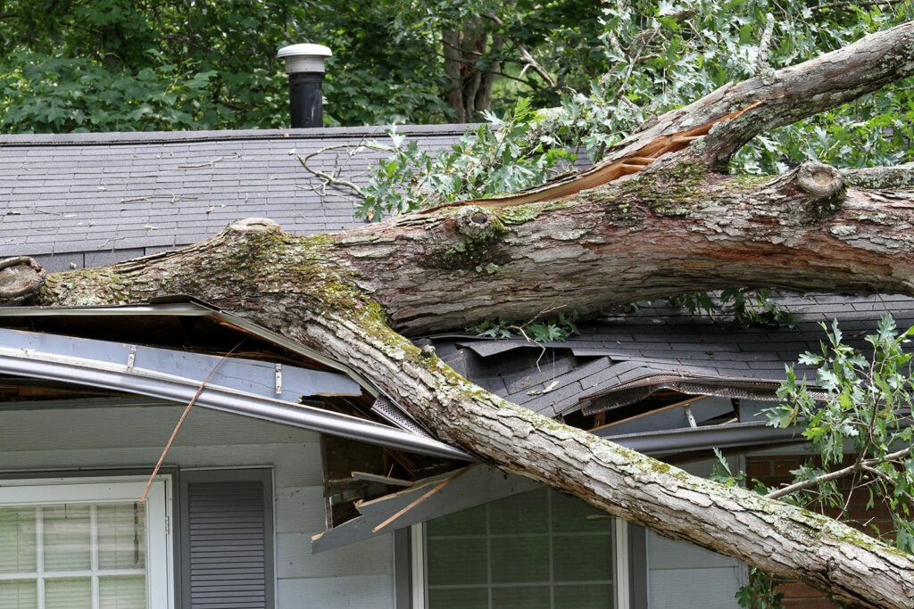 Damaged House