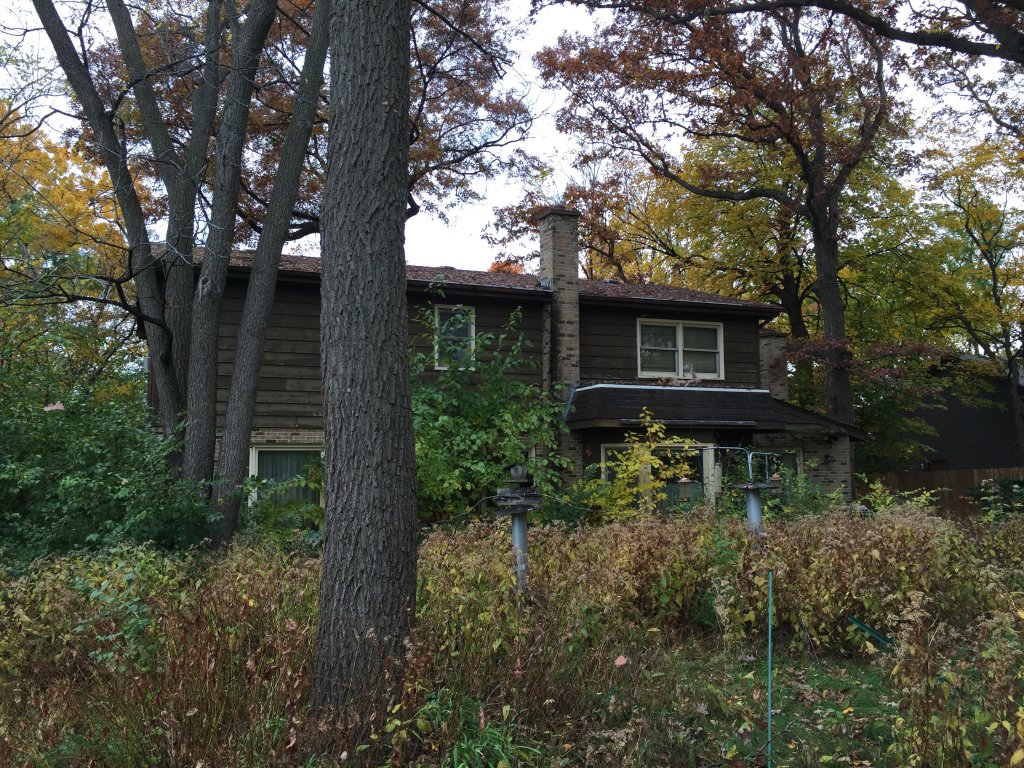 We-Buy-Guly-Houses