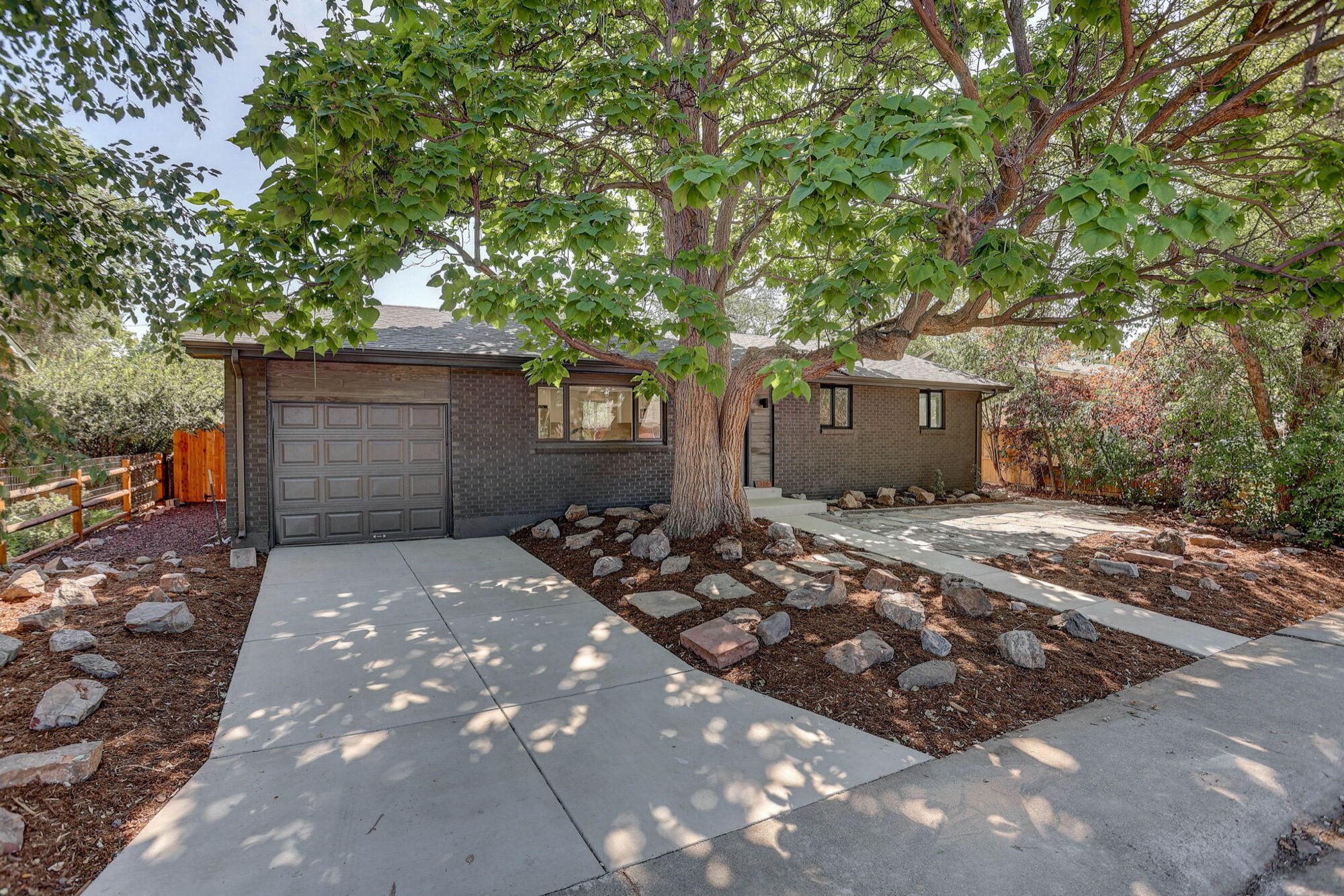 After: new driveway, garage door, and low-water landscaping at 1708 Jewel Dr, Longmont — same tree