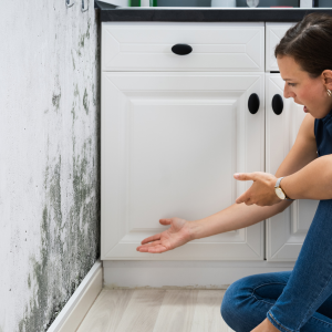 Sell House With Mold in Missouri