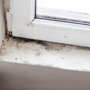 Sell Your House With Mold in Missouri