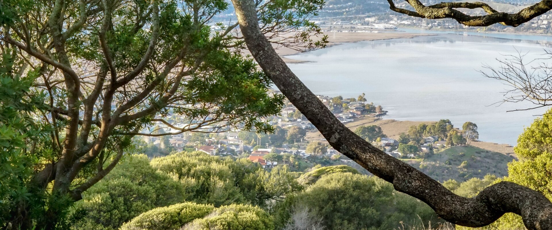 Sell My House Fast Corte Madera CA We Buy Houses Corte Madera CA