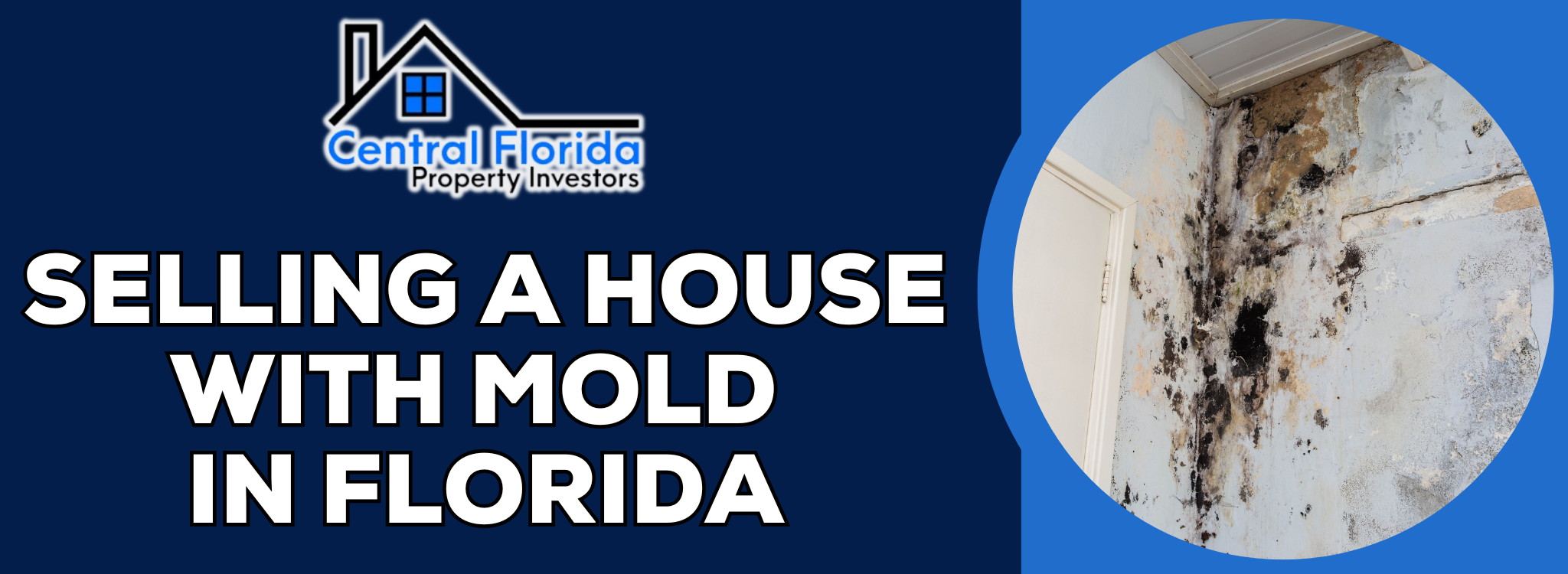 How to Sell a House With Mold in Florida