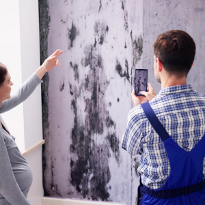 Sell Your House With Mold in Florida