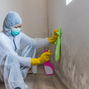 Sell a House Fast With Mold in Florida