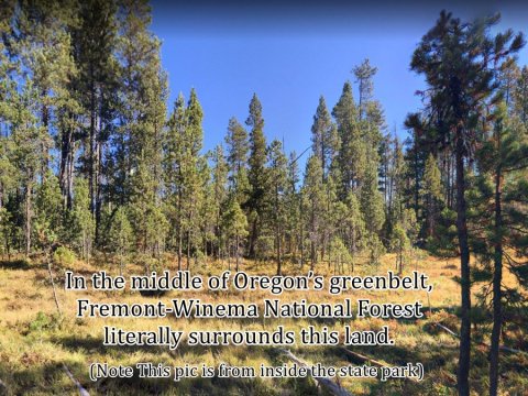 Winema Forest State Park
