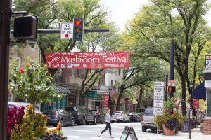 Kennett Square House Buyers