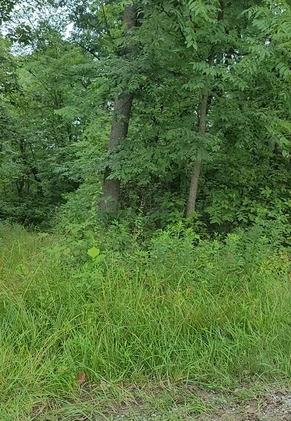 9 acres Vacant Lot at Perry County, OH FC Land Sales