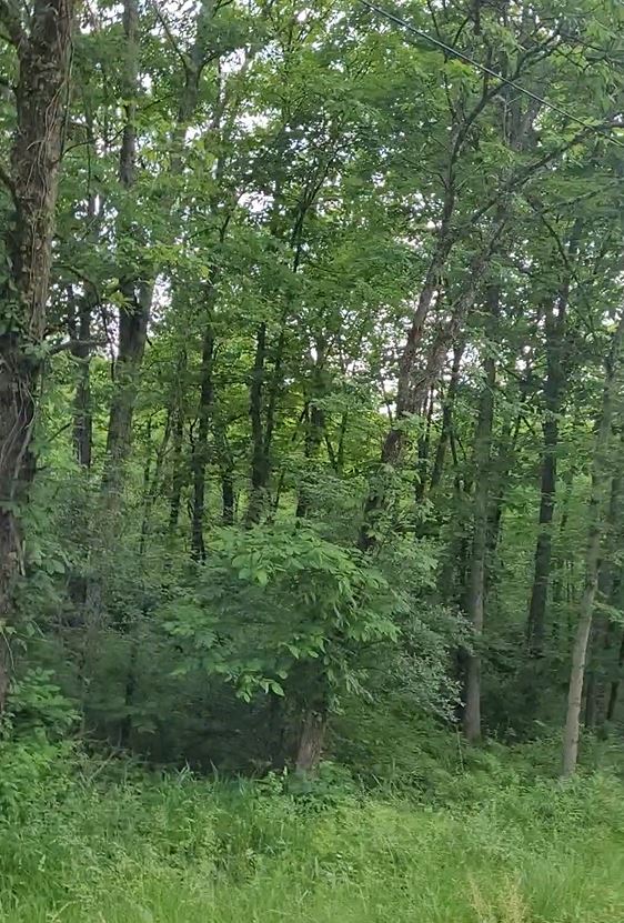 7.69 Acres Lot at Harrison County, OH FC Land Sales