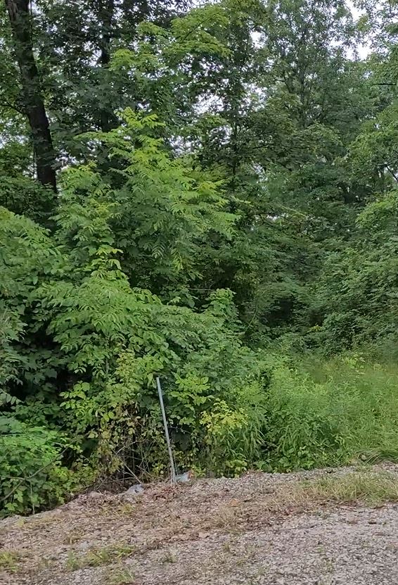 9 acres Vacant Lot at Perry County, OH FC Land Sales