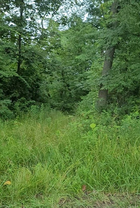 9 acres Vacant Lot at Perry County, OH FC Land Sales