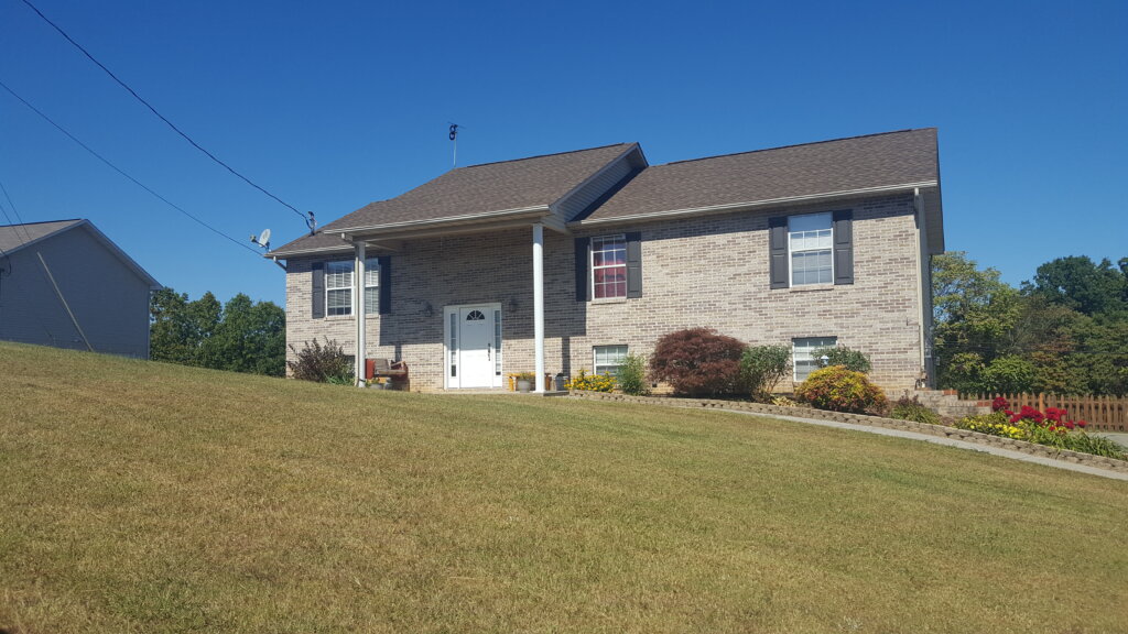 Whitney Buys Houses