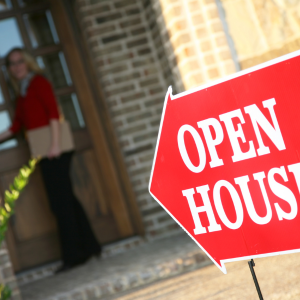 Hire a Realtor in Michigan