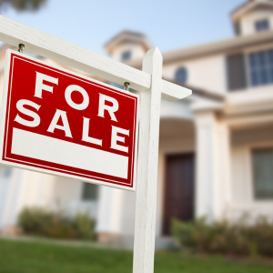 Michigan Sellers_ Realtor Needed