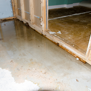Selling Your House With Water Damage Michigan