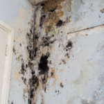 Tips for Selling a House With Water Damage Michigan