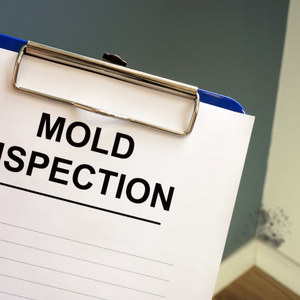 Sell House With Mold Michigan
