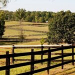 Things to Look for When Buying Land in Houston
