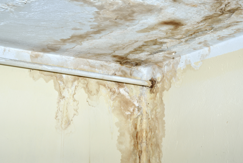 selling a house with mold in Texas