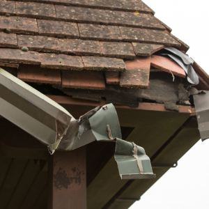 Tenant Inflicted Property Damage In Texas