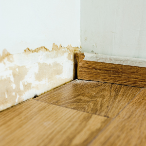 Sell Your Water Damaged House In Texas