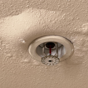 Selling a House with Water Damage In Texas