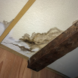 Selling a Water Damaged House As-Is In Texas