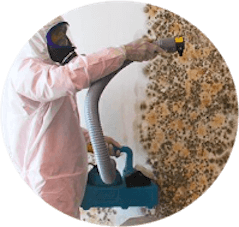 Eliminate Mold In Jacksonville FL